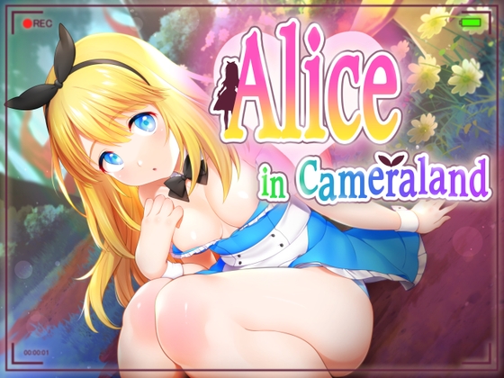 Alice in Cameraland poster