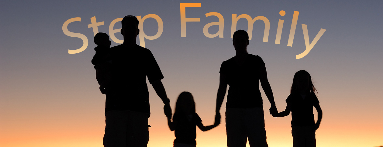 Step Family poster