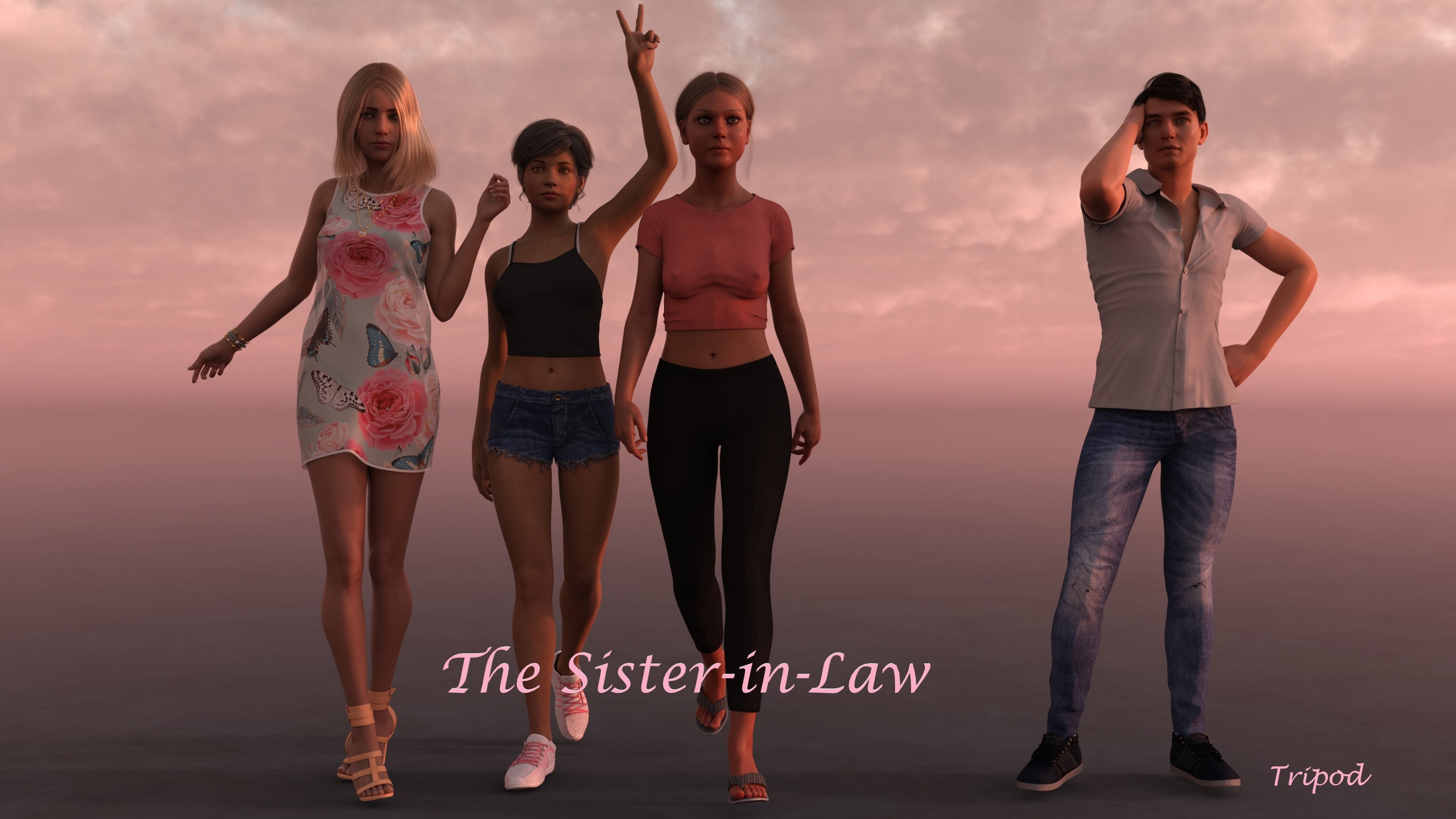 The Sister in Law poster