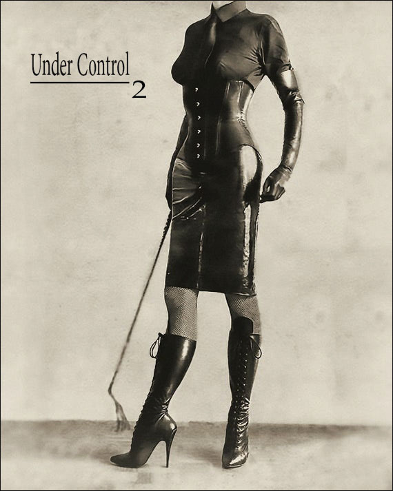 Under Control 2 poster