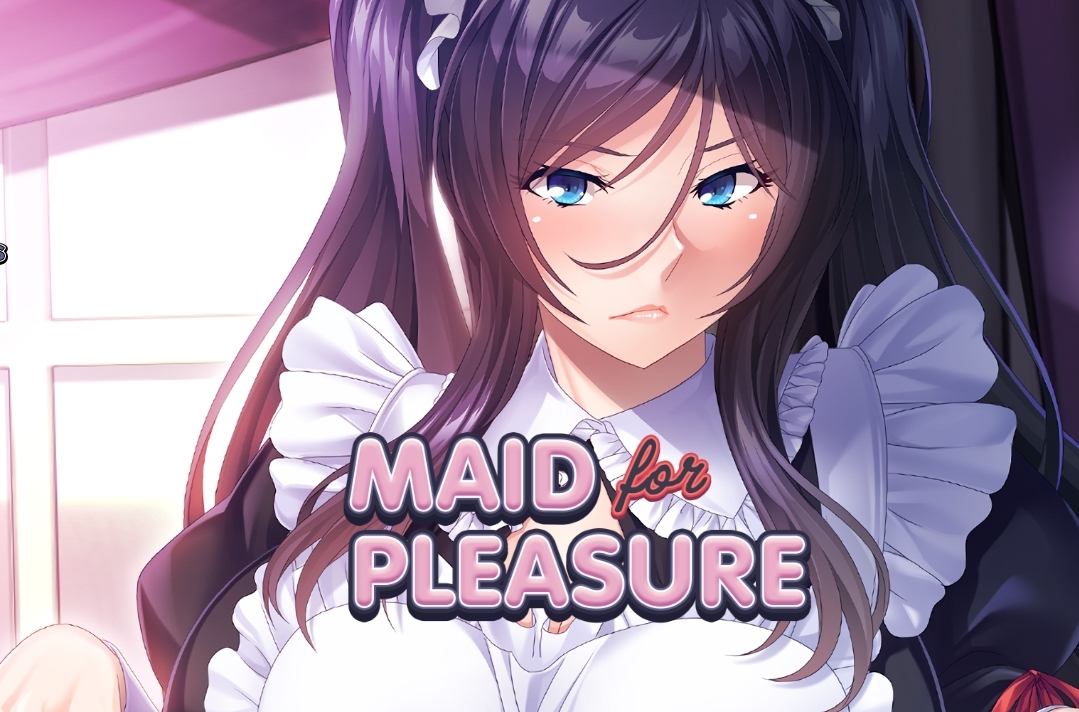 Maid for Pleasure poster