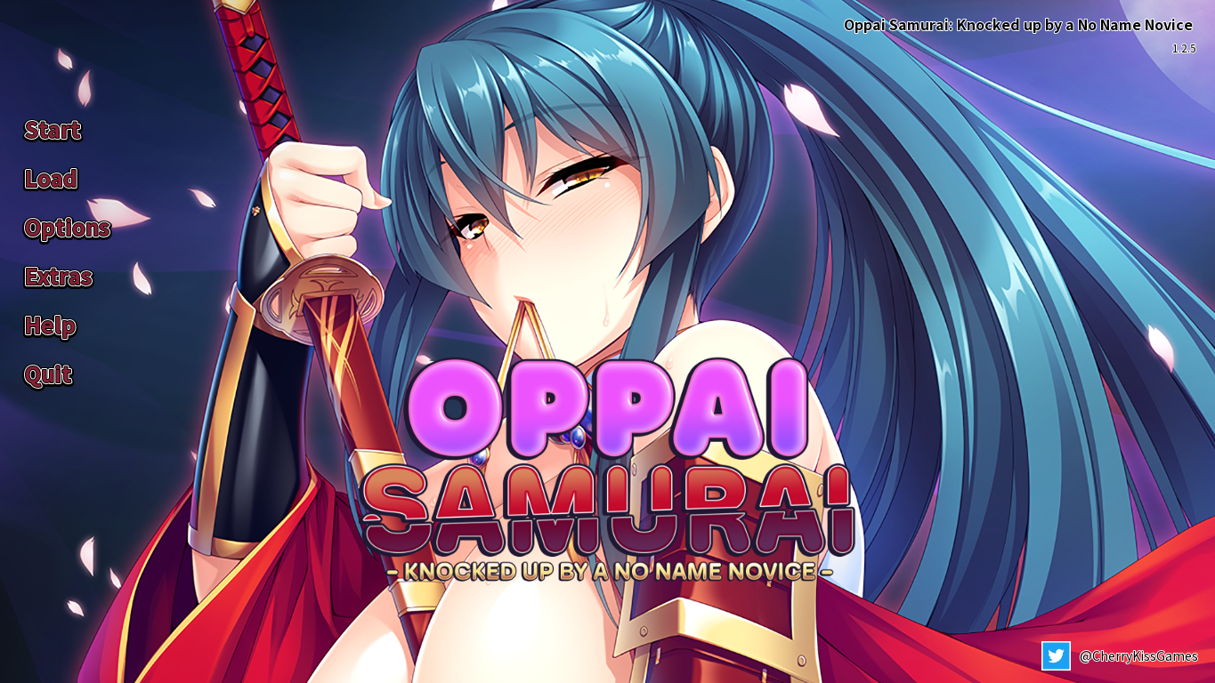 Oppai Samurai: Knocked up by a No Name Novice poster