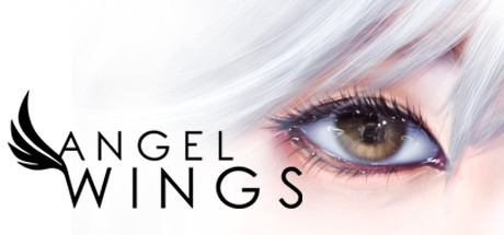 Angel Wings poster