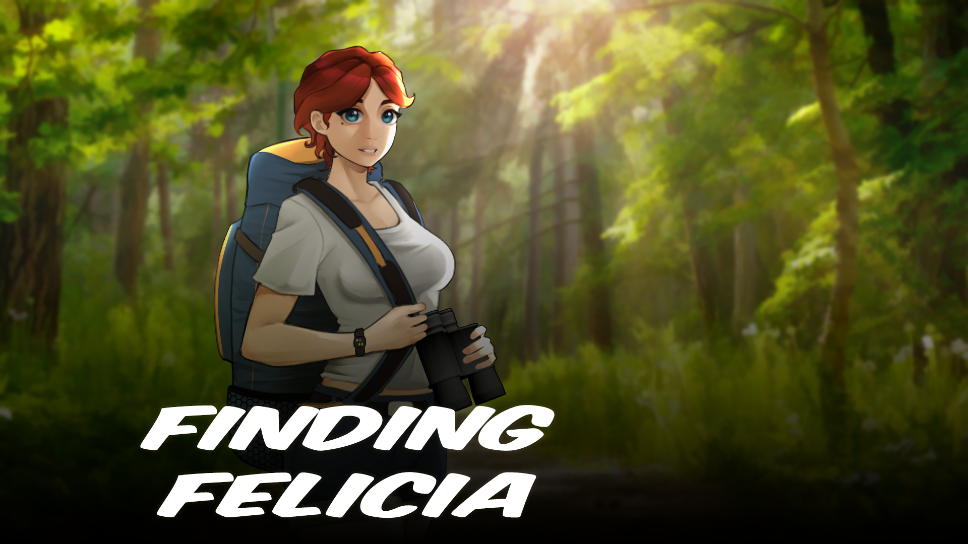 Finding Felicia poster