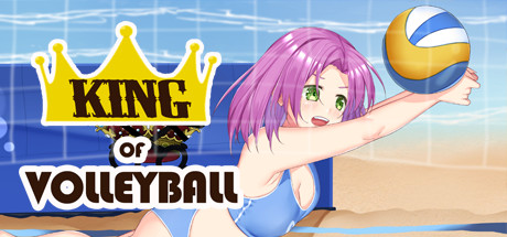 King of Volleyball poster