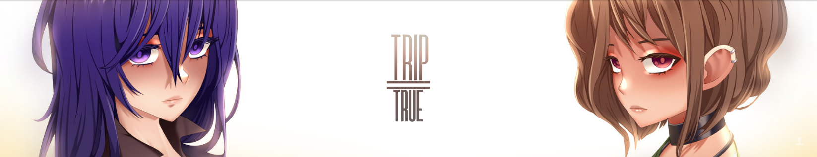 Trip=True poster