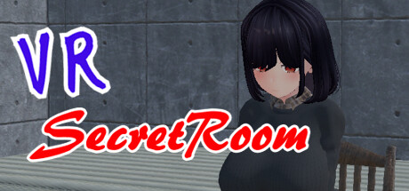 VR SecretRoom poster