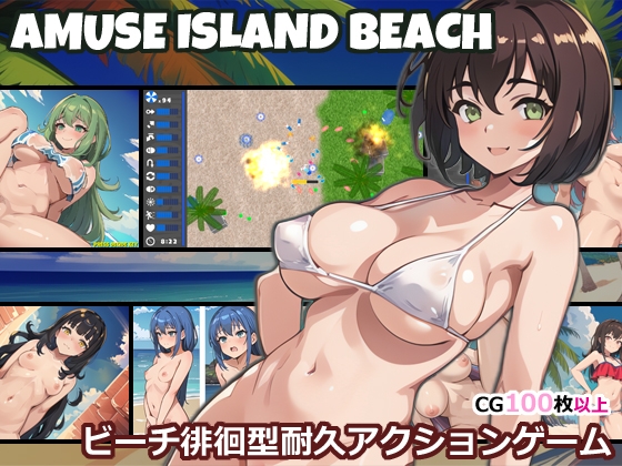 AMUSE ISLAND BEACH poster