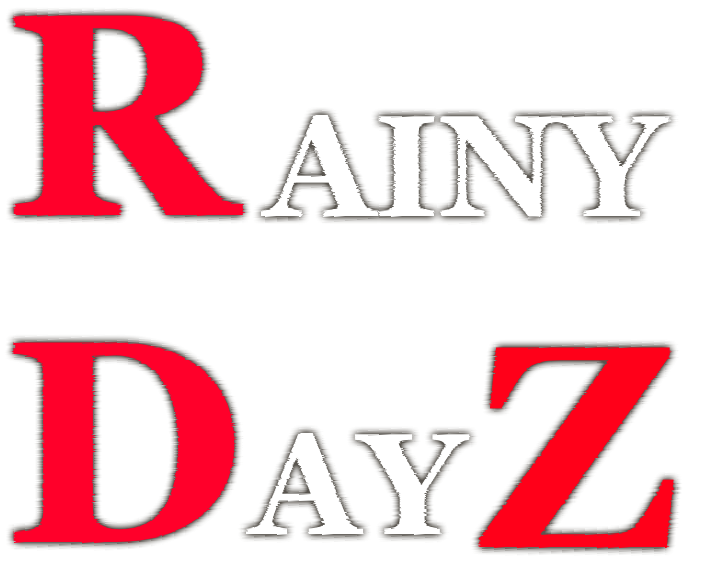 Rainy DayZ poster