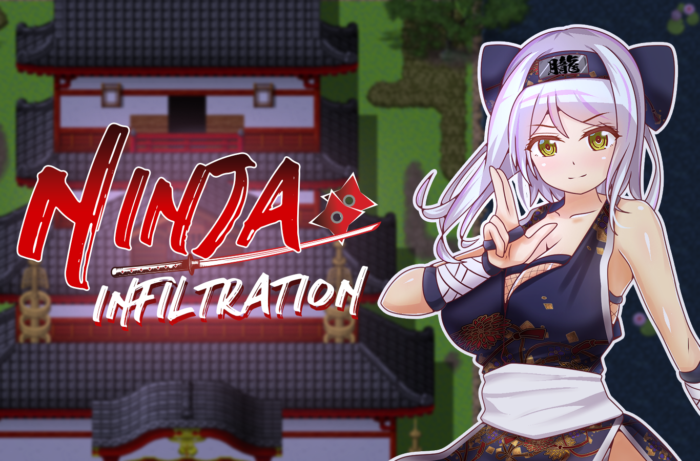 Ninja Infiltration poster