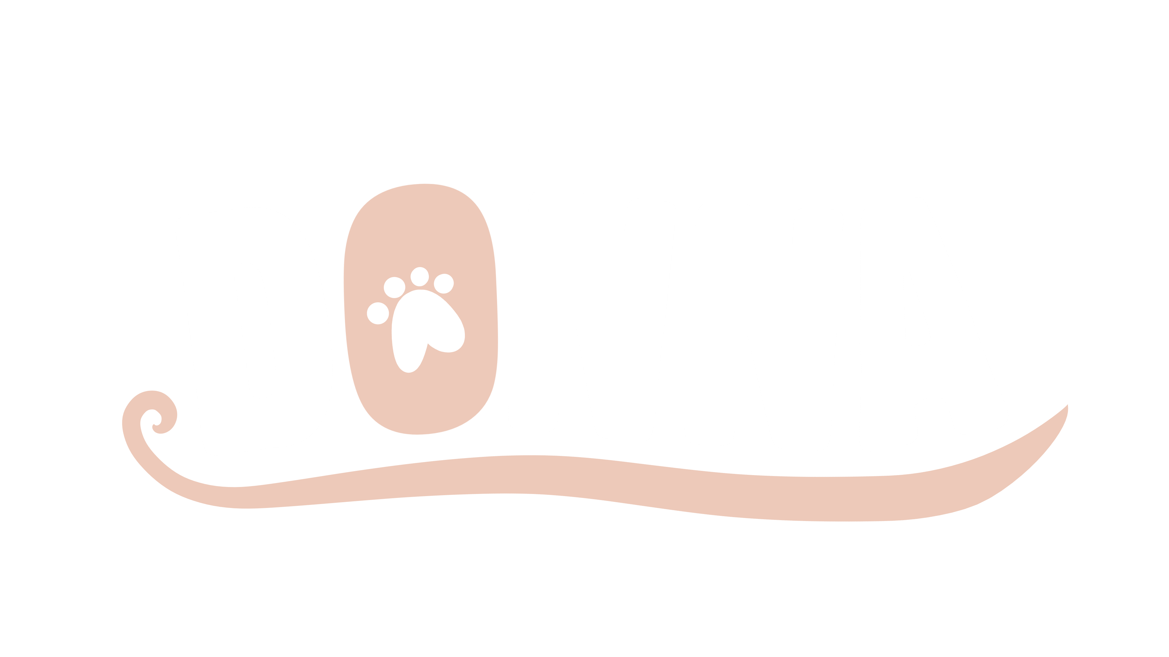 Donna poster