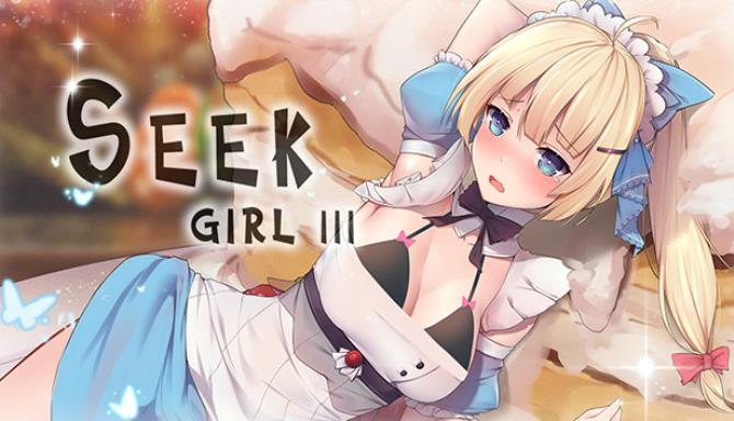 Seek Girl III poster