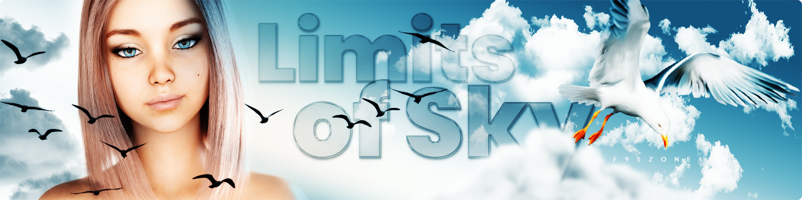 Limits of Sky poster