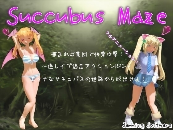 Succubus Maze poster