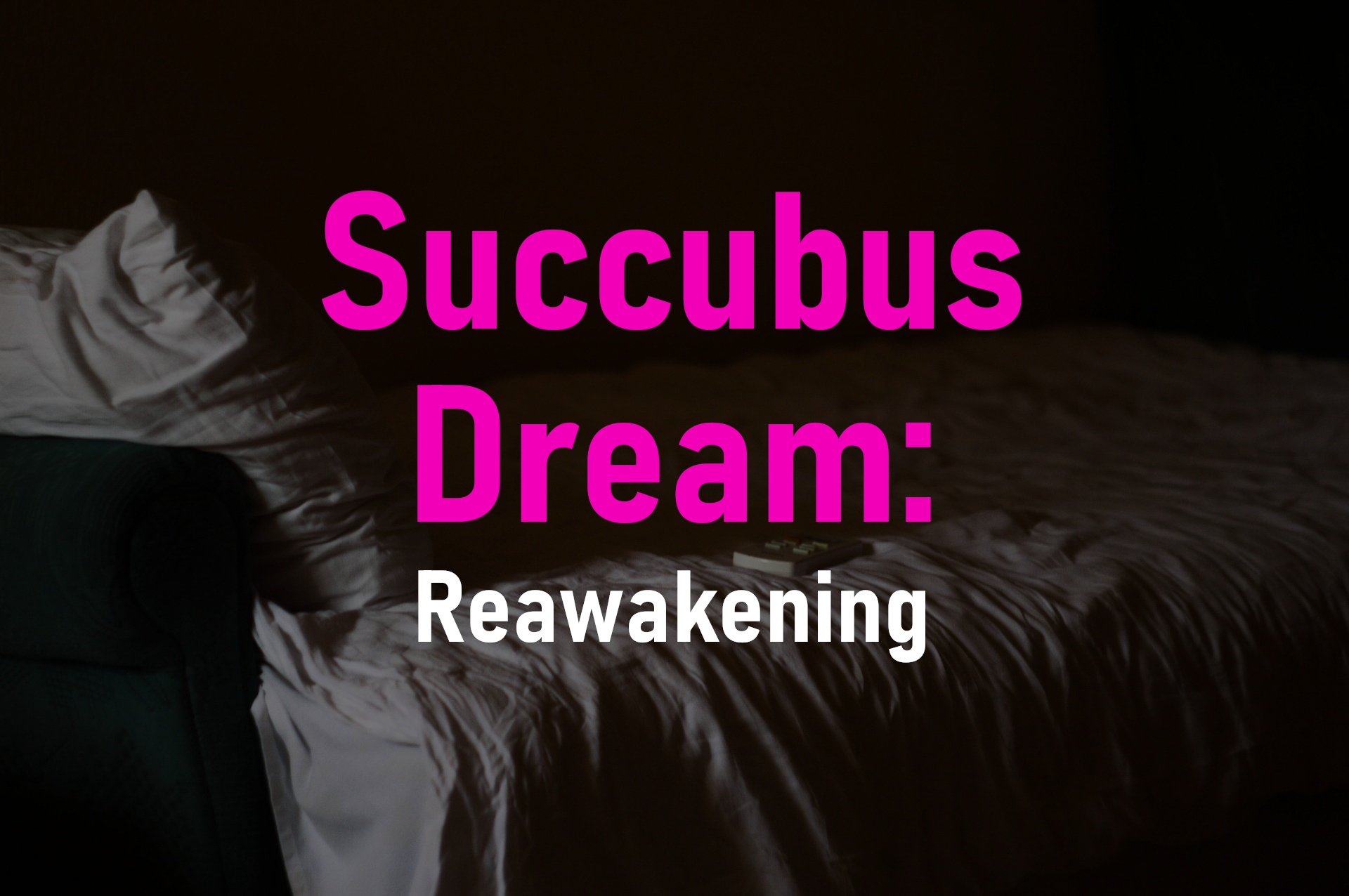 Succubus Dream: Reawakening poster