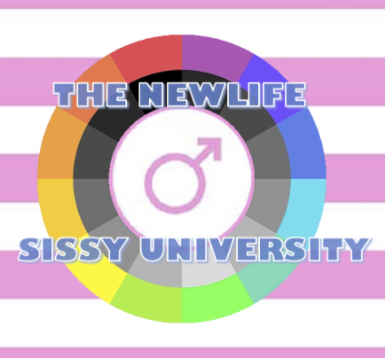 The NewLife Sissy University poster