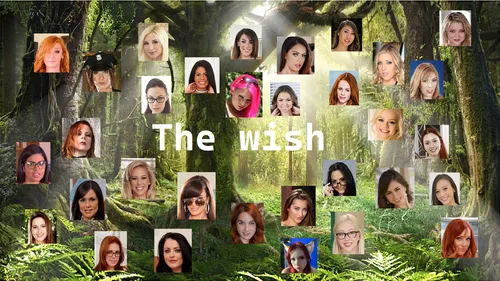 The Wish poster