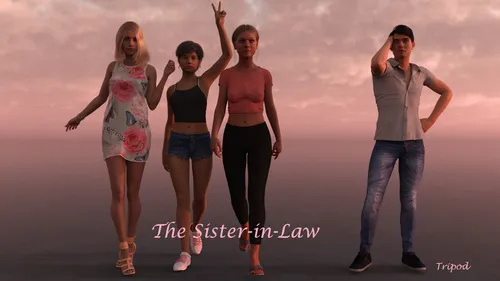 The Sister in Law poster