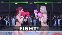 Boxing Fantasy screenshot