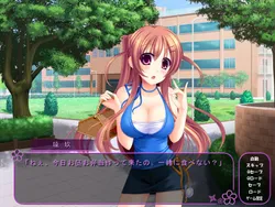 Hitozumaman!! ~Haranda Kunoichi Tsumamigoro~ screenshot