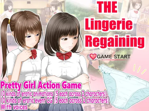 The Lingerie Regaining poster