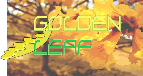 Golden Leaf poster