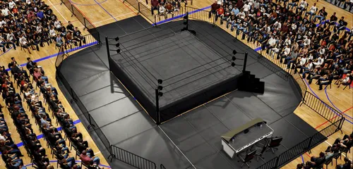 Wrestling Dynasty screenshot 1