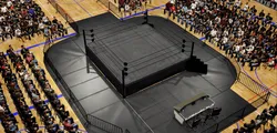 Wrestling Dynasty screenshot