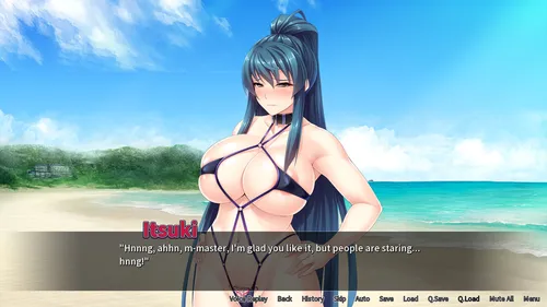 Oppai Samurai: Knocked up by a No Name Novice screenshot 3