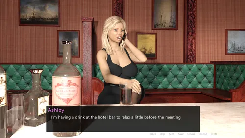 Sissy Diaries screenshot 4