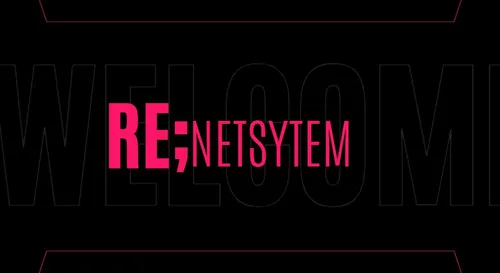 NetSystem poster