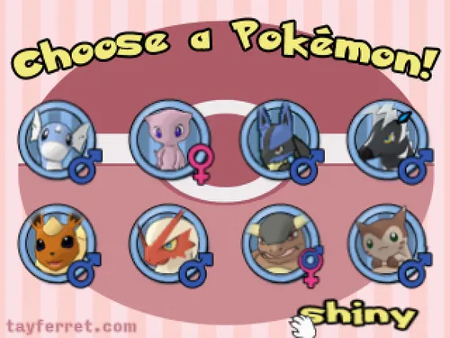 Tay Ferret's Pokémon-Amie