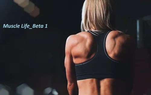 Muscle Life Beta 1