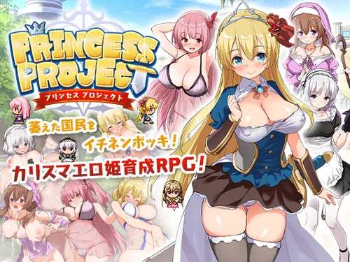 Princess Project poster