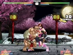 Strip Fighter 5: Chimpocon Edition screenshot