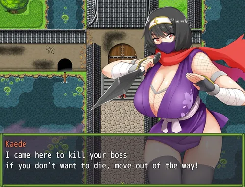 Kunoichi Kaede screenshot 8