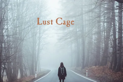 Lust Cage poster