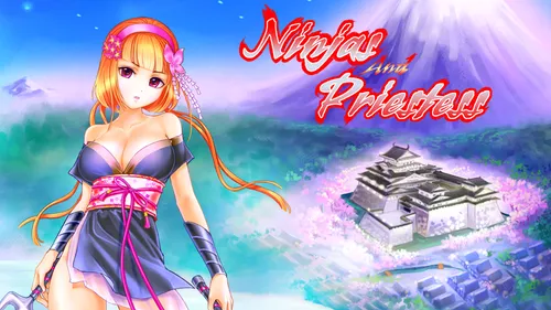 Ninjas and priestess poster