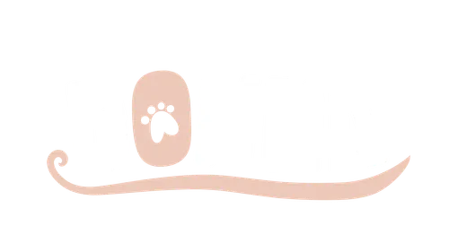 Donna 2.0.5