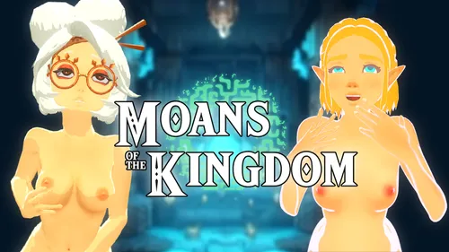 Zelda: Moans of the kingdom v1.0